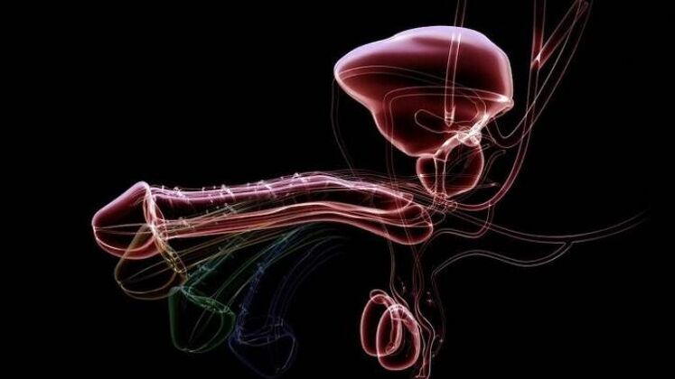 Dlaczego pojawia się wydzielina, gdy mężczyźni są podekscytowani i czy jest to normalne